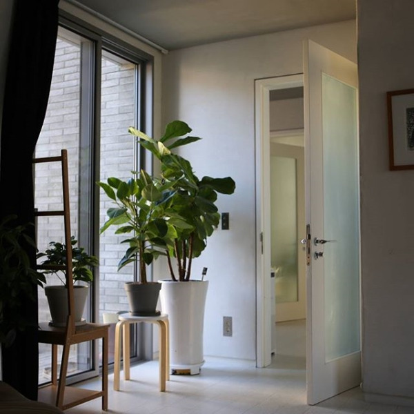 2018-02-19 06;33;29.jpg