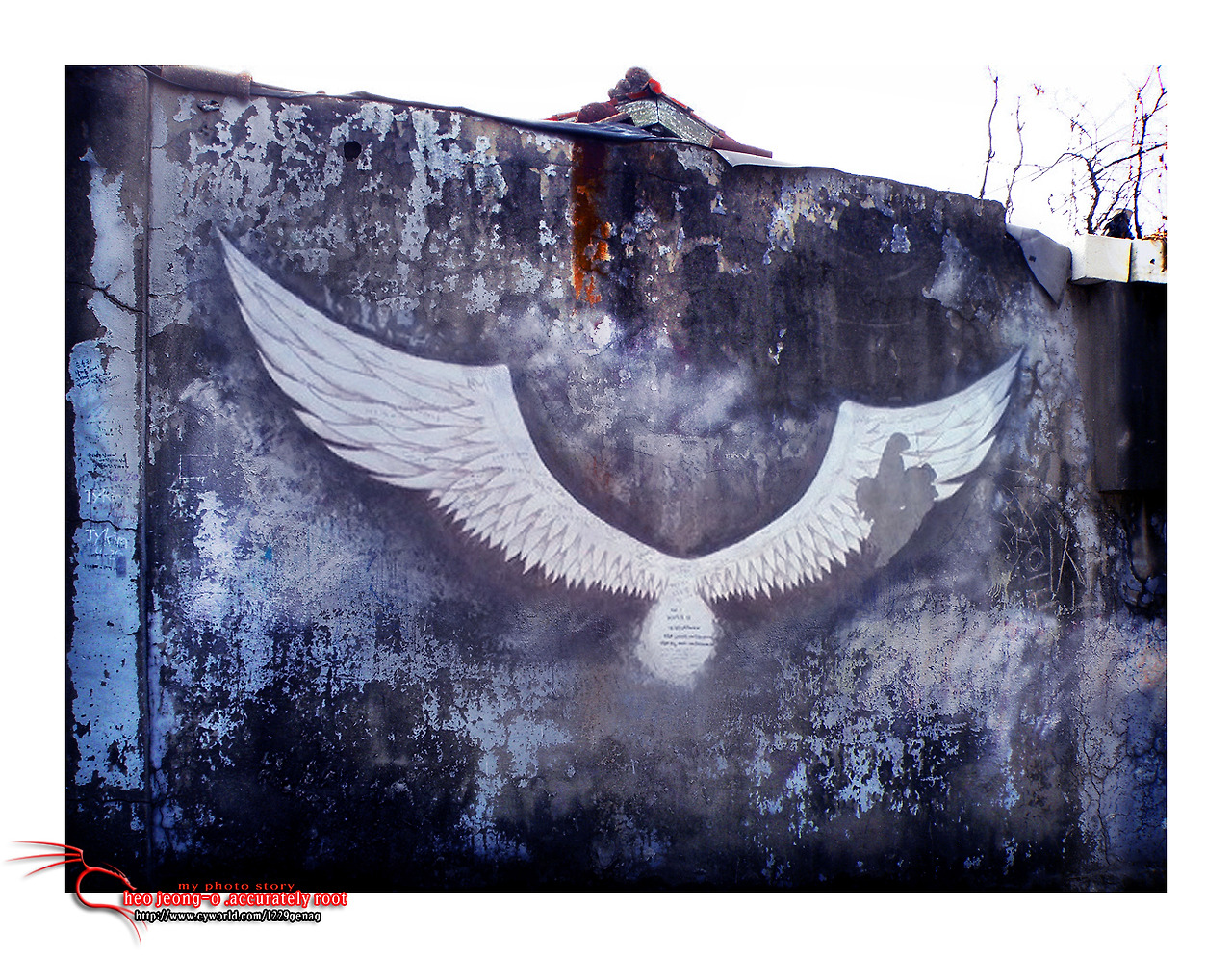 P2032464-2 복사.jpg