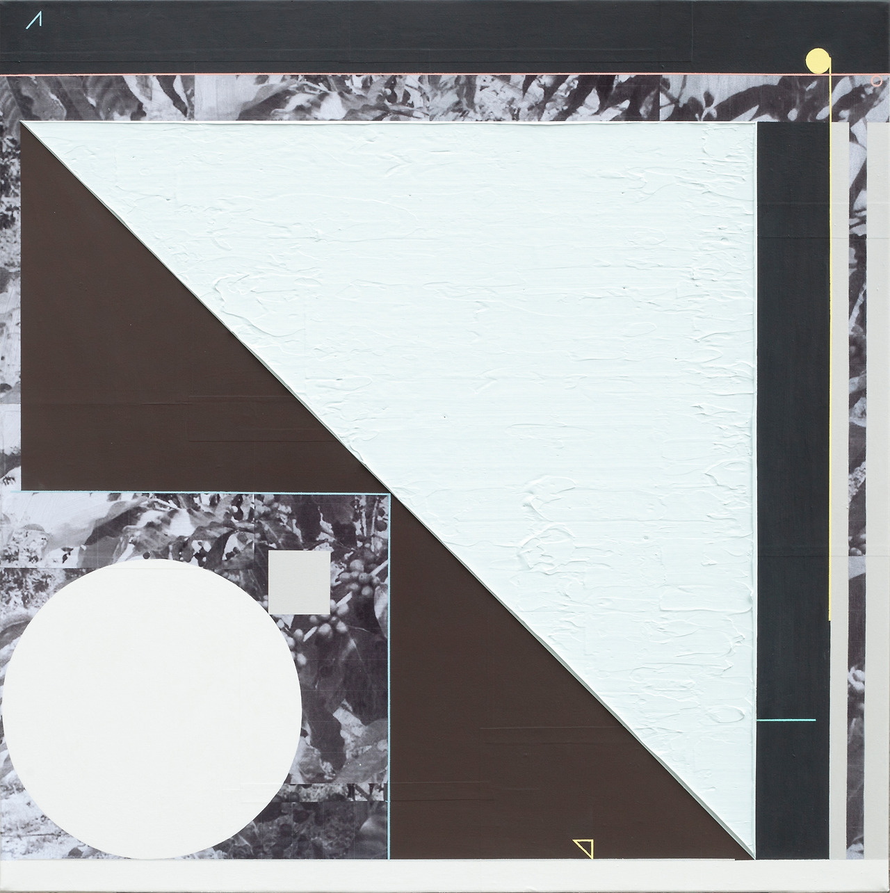 01. Coffee Farm, 2020, acrylic and photocollage on canvas, 73 x 73cm.jpg