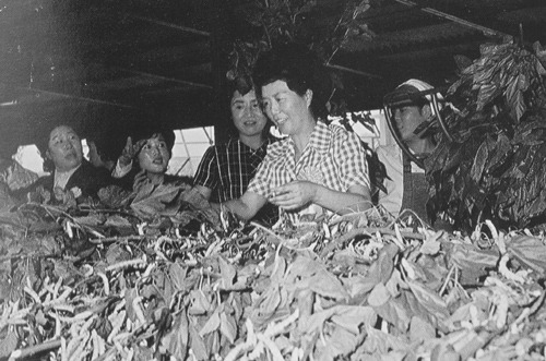 35 양잠시범대회- 육영수.jpg