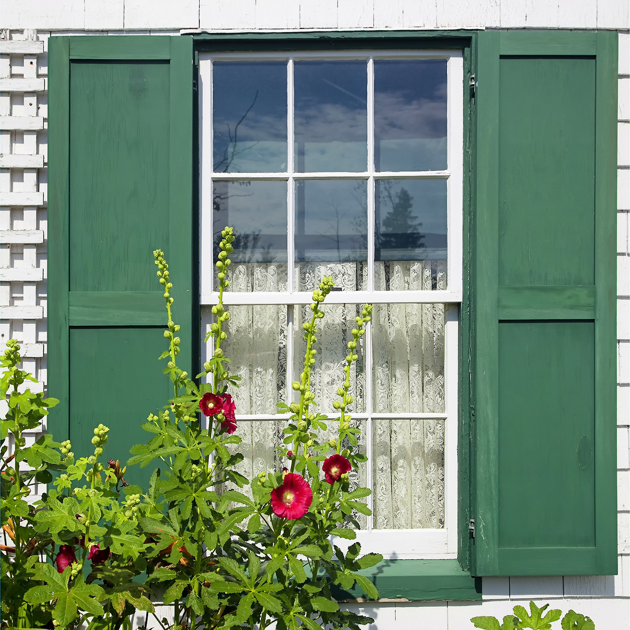 빨강머리 앤_219859213.jpg