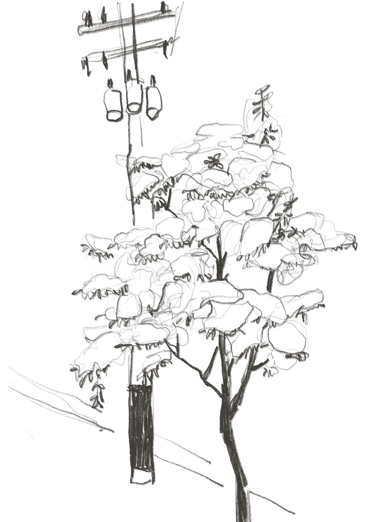 제목_없는_아트워크 24.jpg