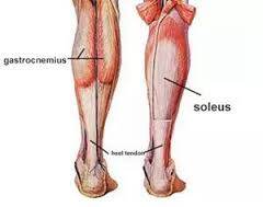 다운로드 (1).jpg