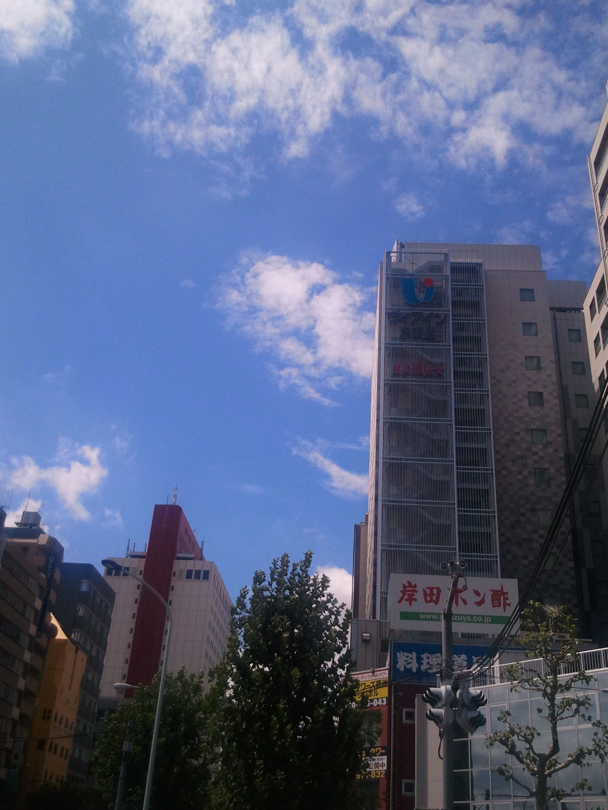 2012-08-12 13.35.55.jpg