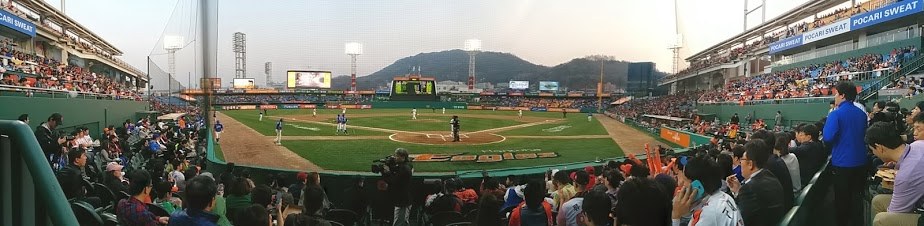 대전야구.jpg