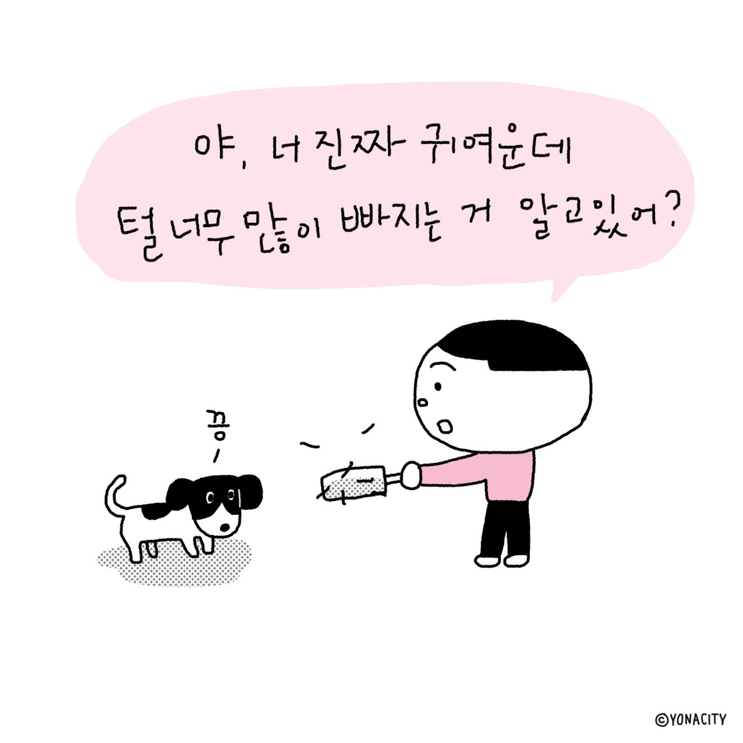 털4.jpg