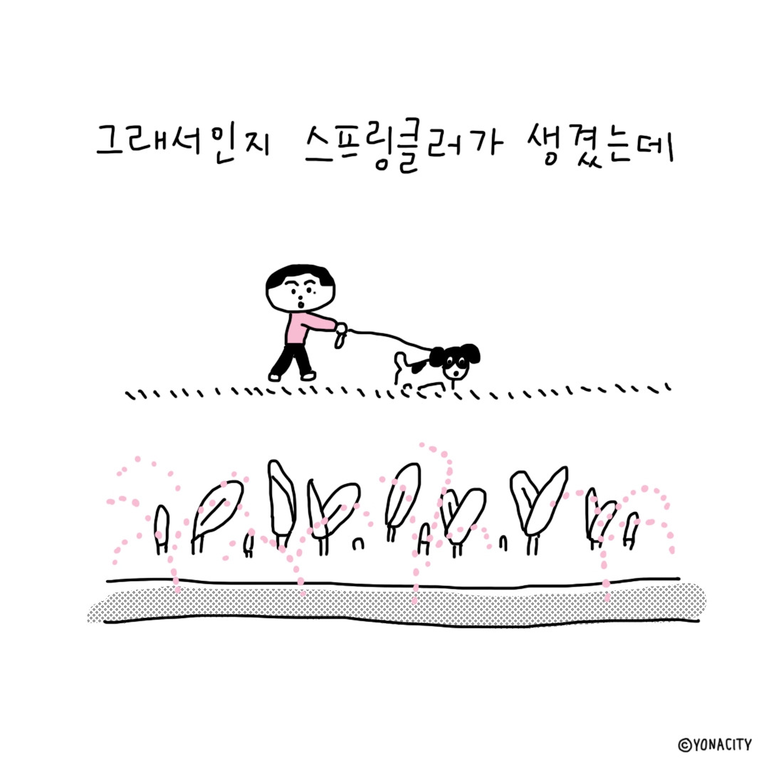 무지개3.jpg