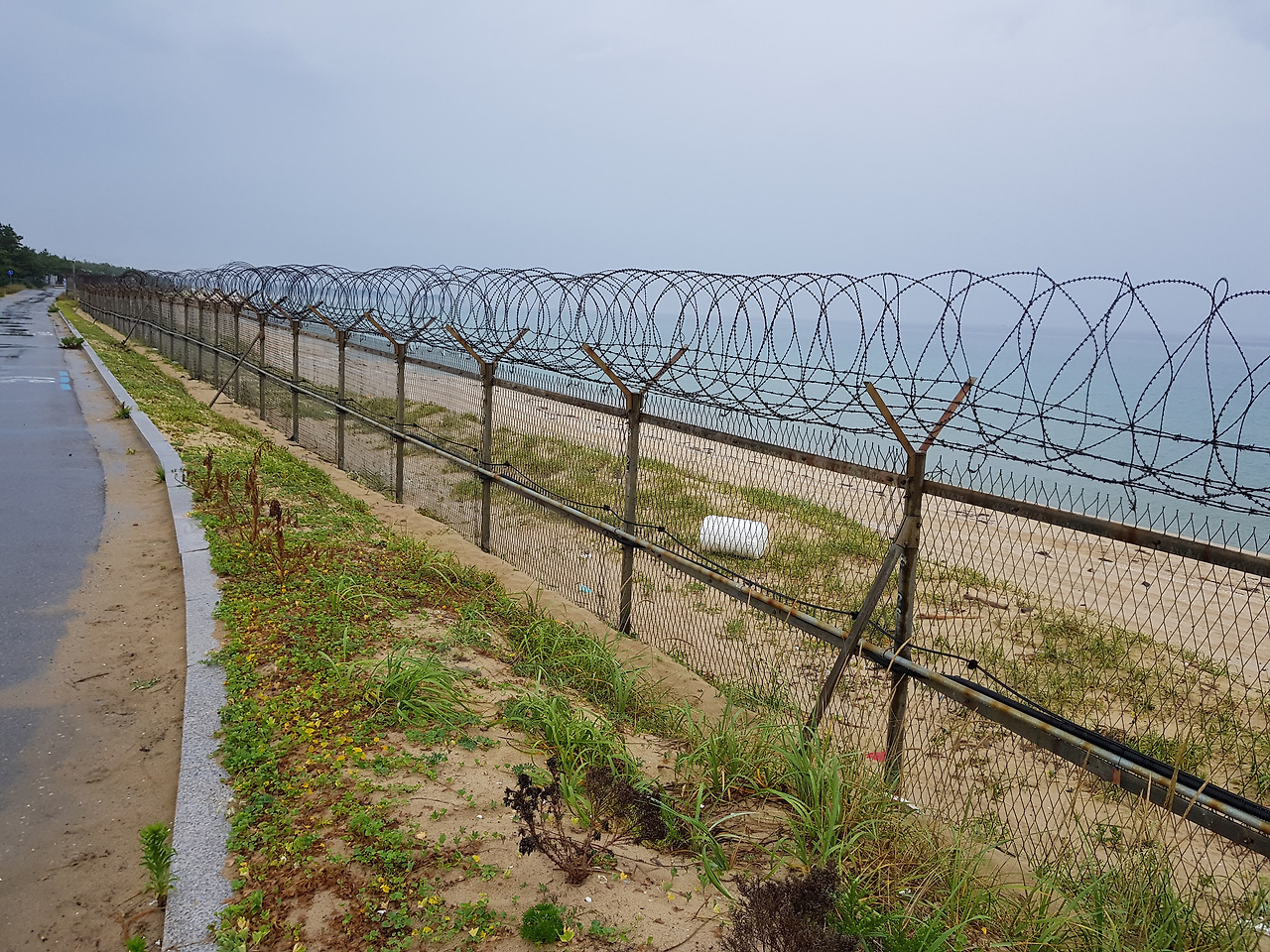 20170702_115130 철책이 강화도 한강어구와 비숫.jpg