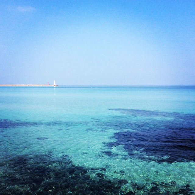 사본 -resource.jpg