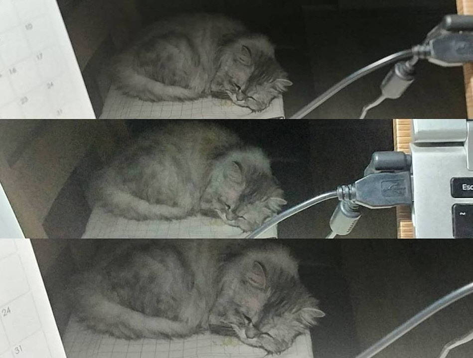 사본 -29066563_1730273466995352_5544275876843094016_n.jpg