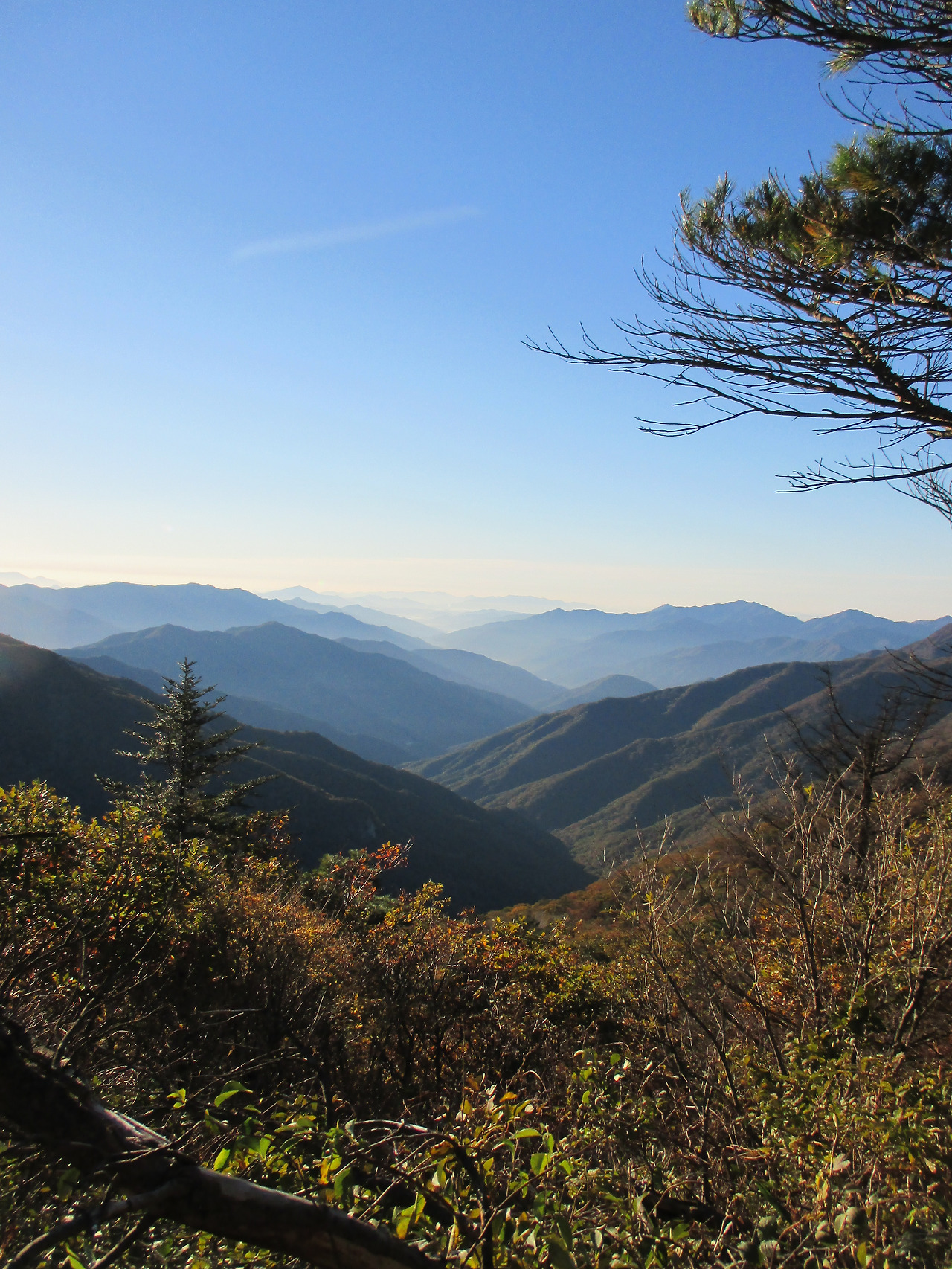 사본 -IMG_0077.jpg