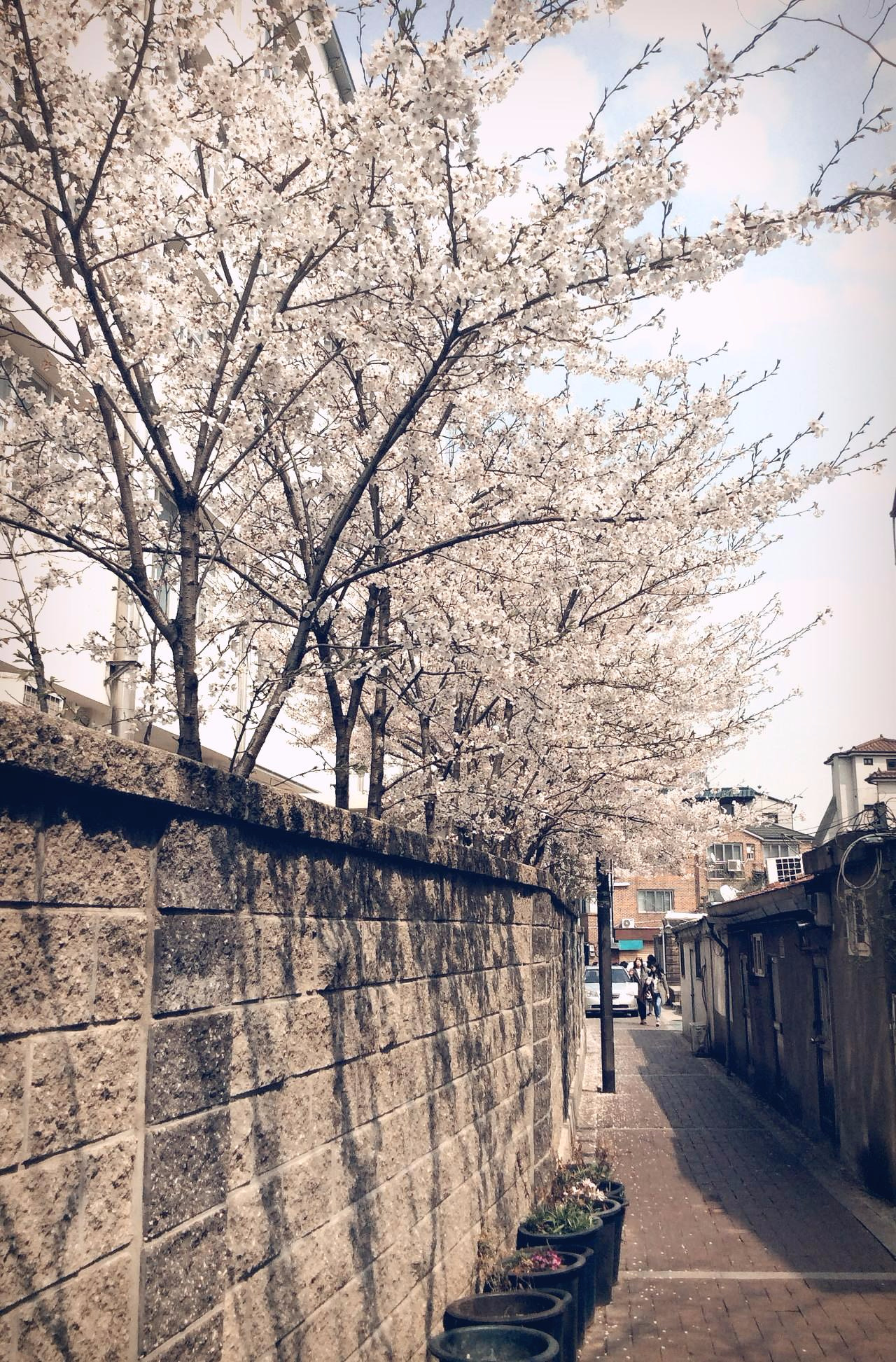 사본 -#아이패드 1050.jpg