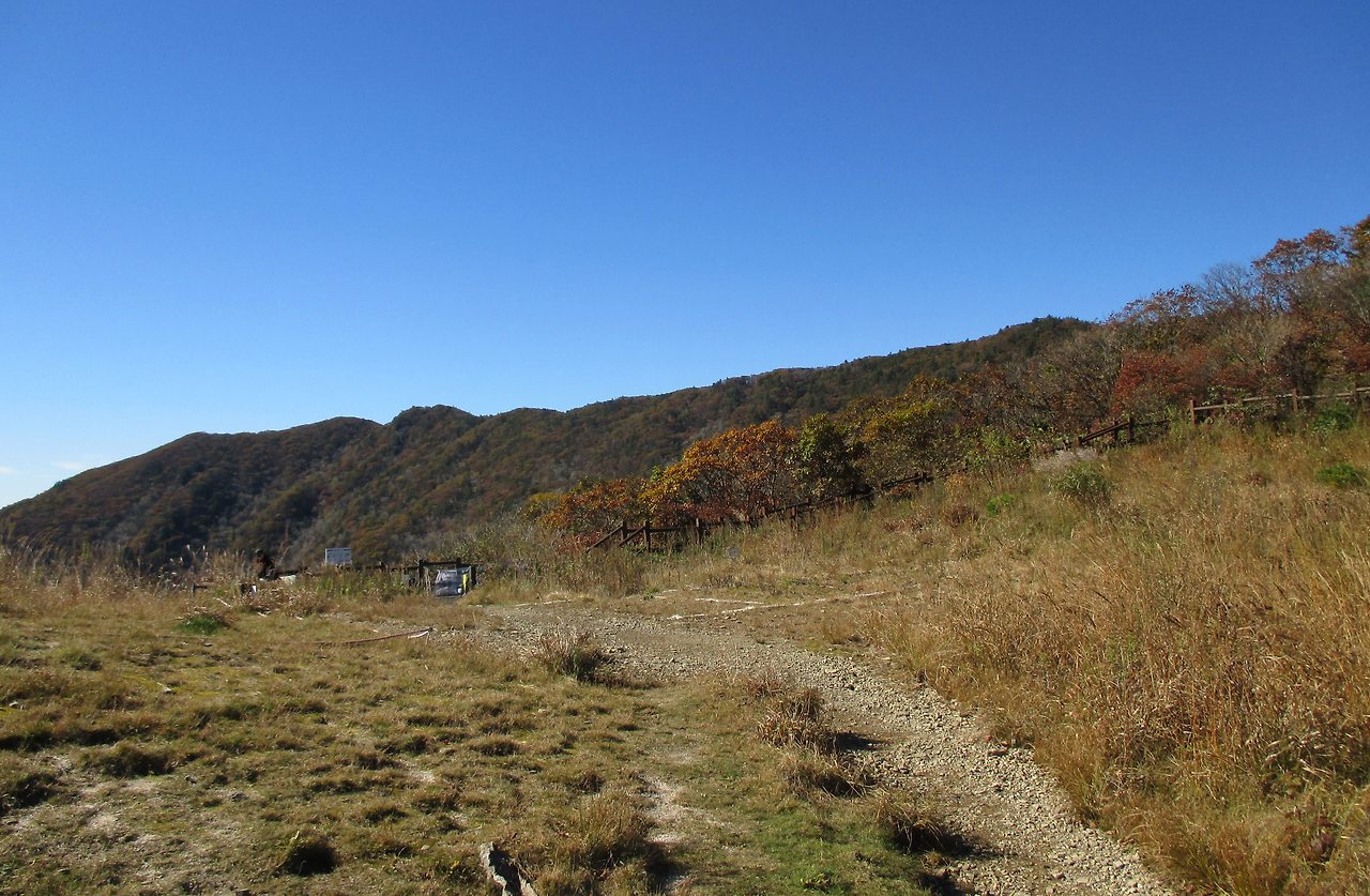 사본 -IMG_0098.jpg