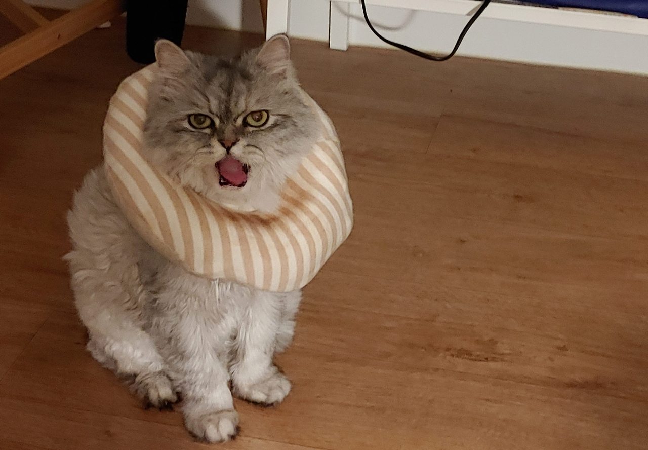 사본 -20230227_223515.jpg