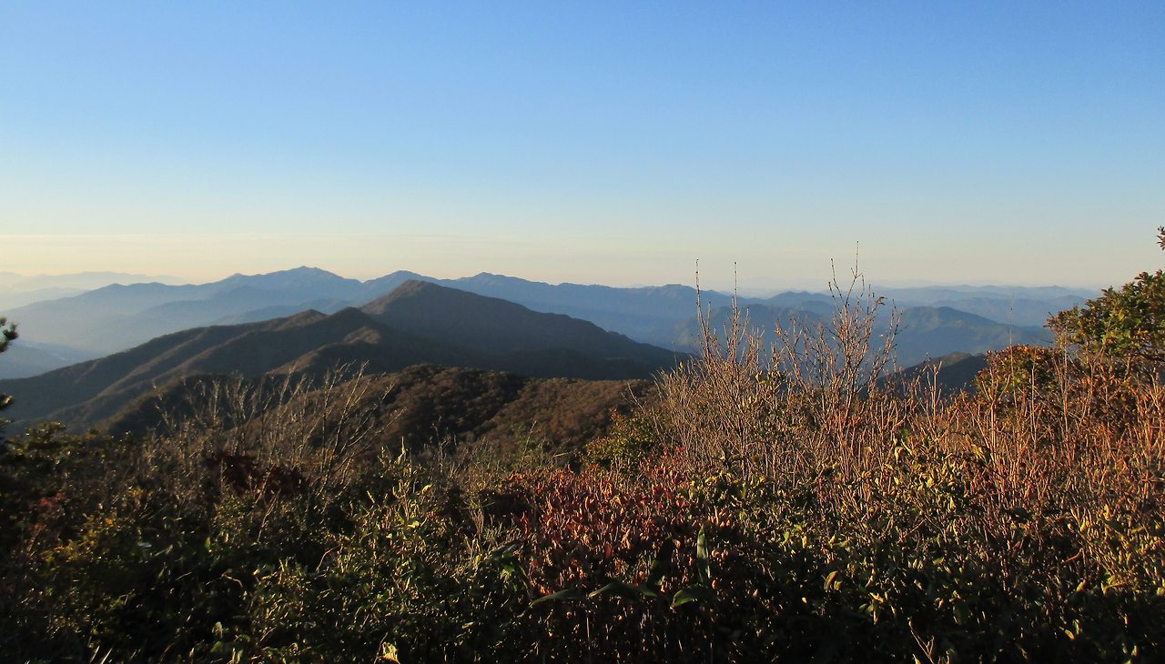 사본 -IMG_0066.jpg