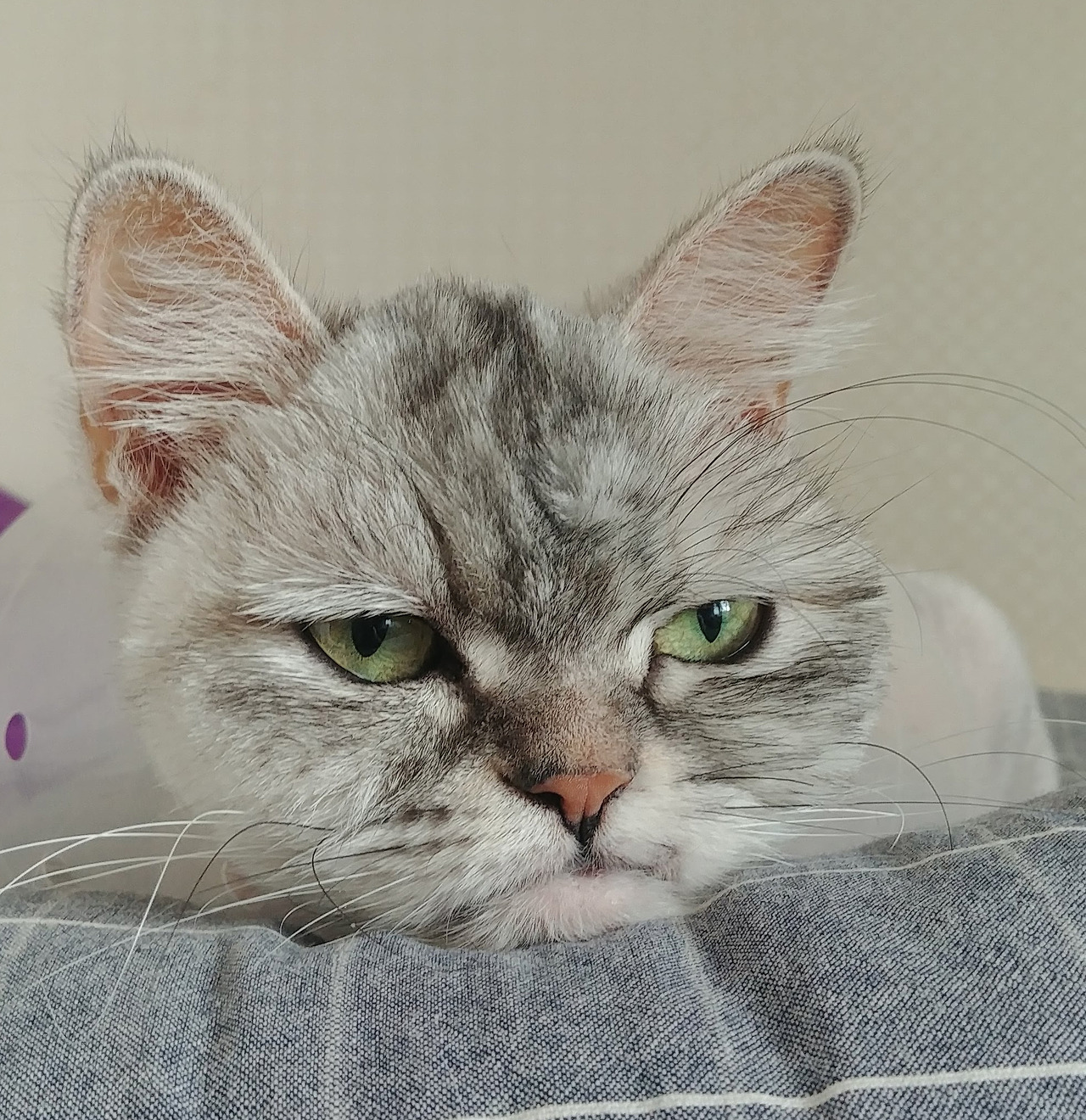 사본 -20200226_142930.jpg