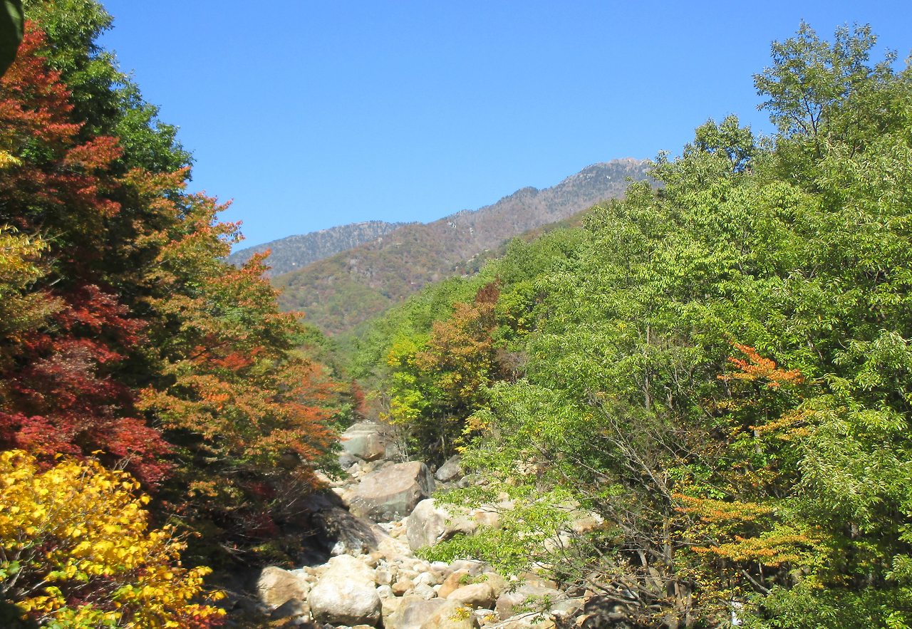 지리산17.jpg