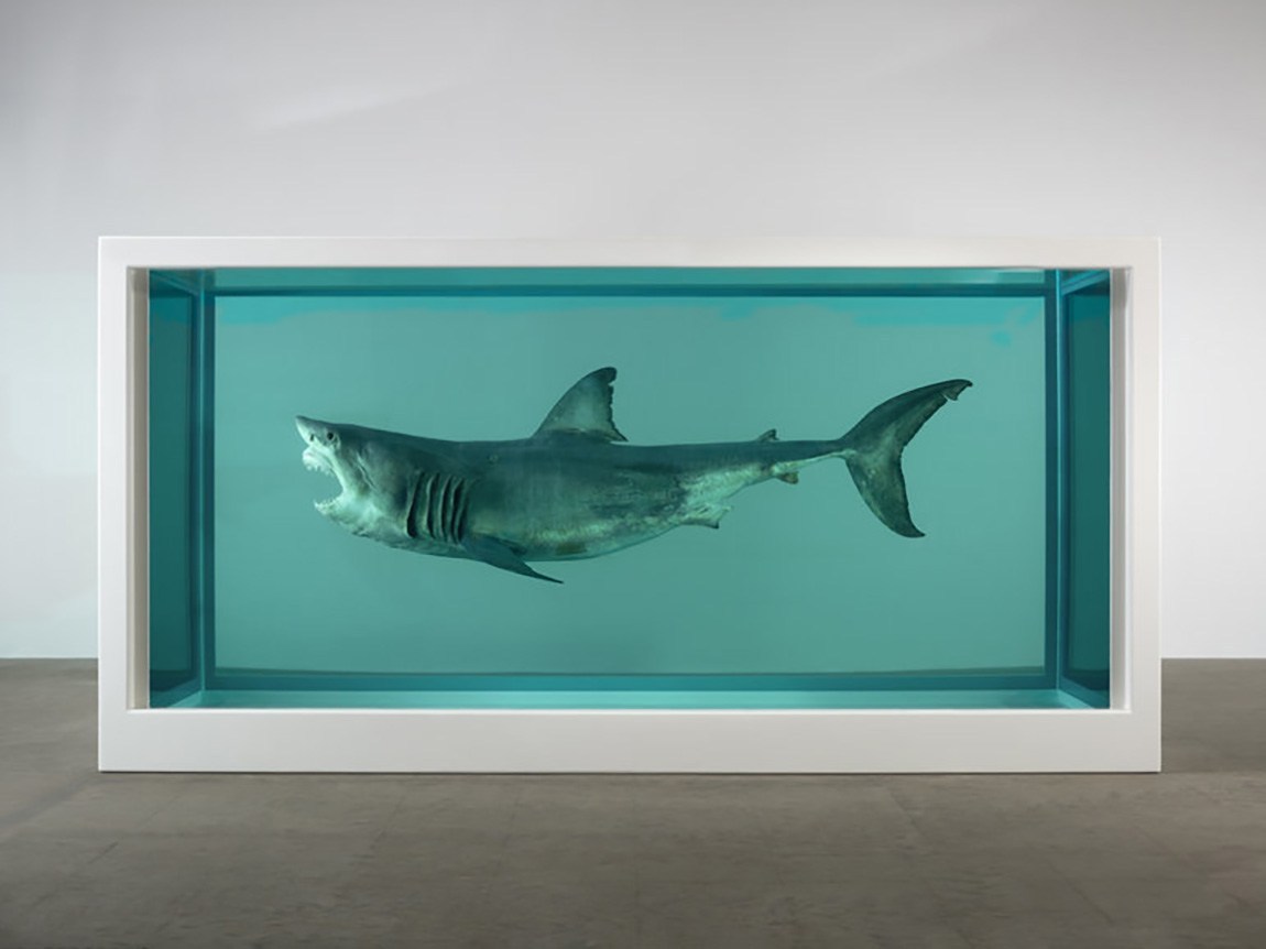 da-grande-voglio-fare-damien-hirst.jpg