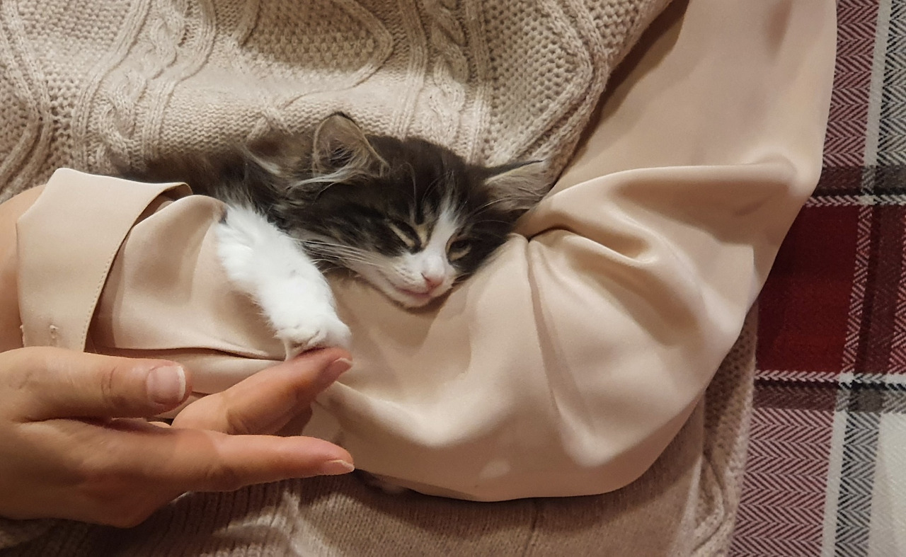 만족스런 순이.jpg