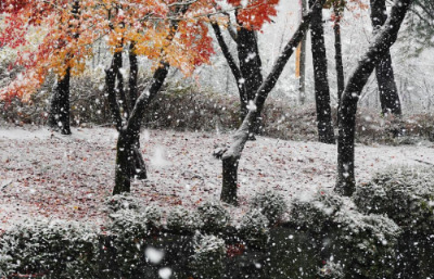 J 작가의 아파트 부근.jpg