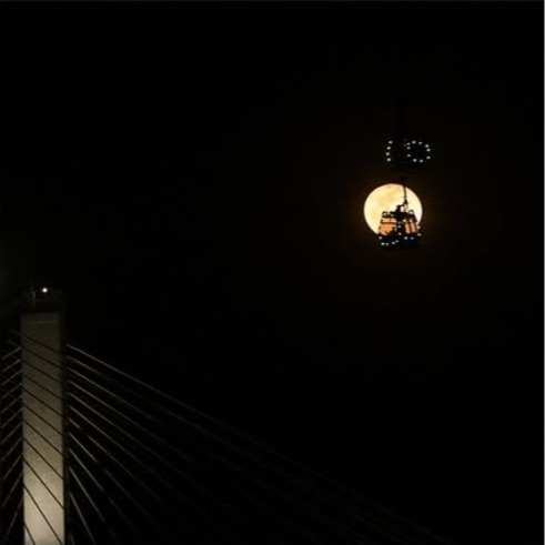 주작가 달사진3.jpg