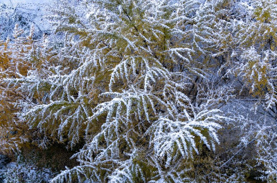 내가 본 거실 밖 모습.jpg