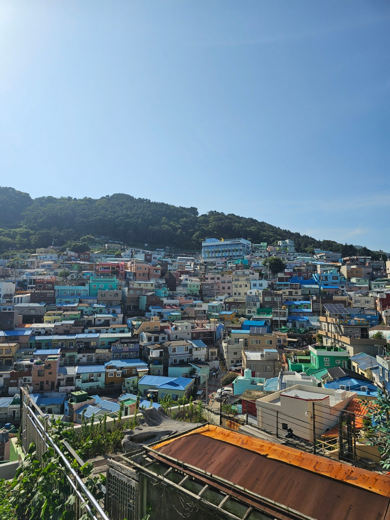 부산4.jpg