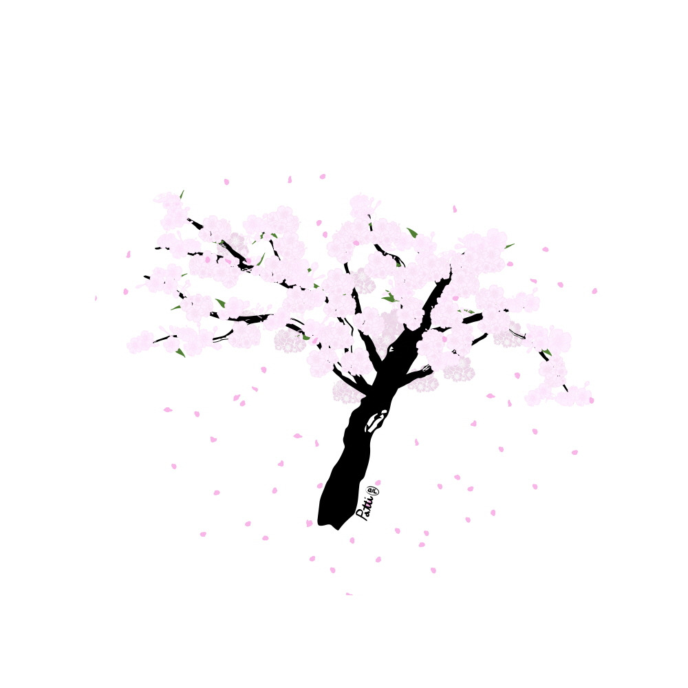 700_sakura_CIRCLE_02.jpg