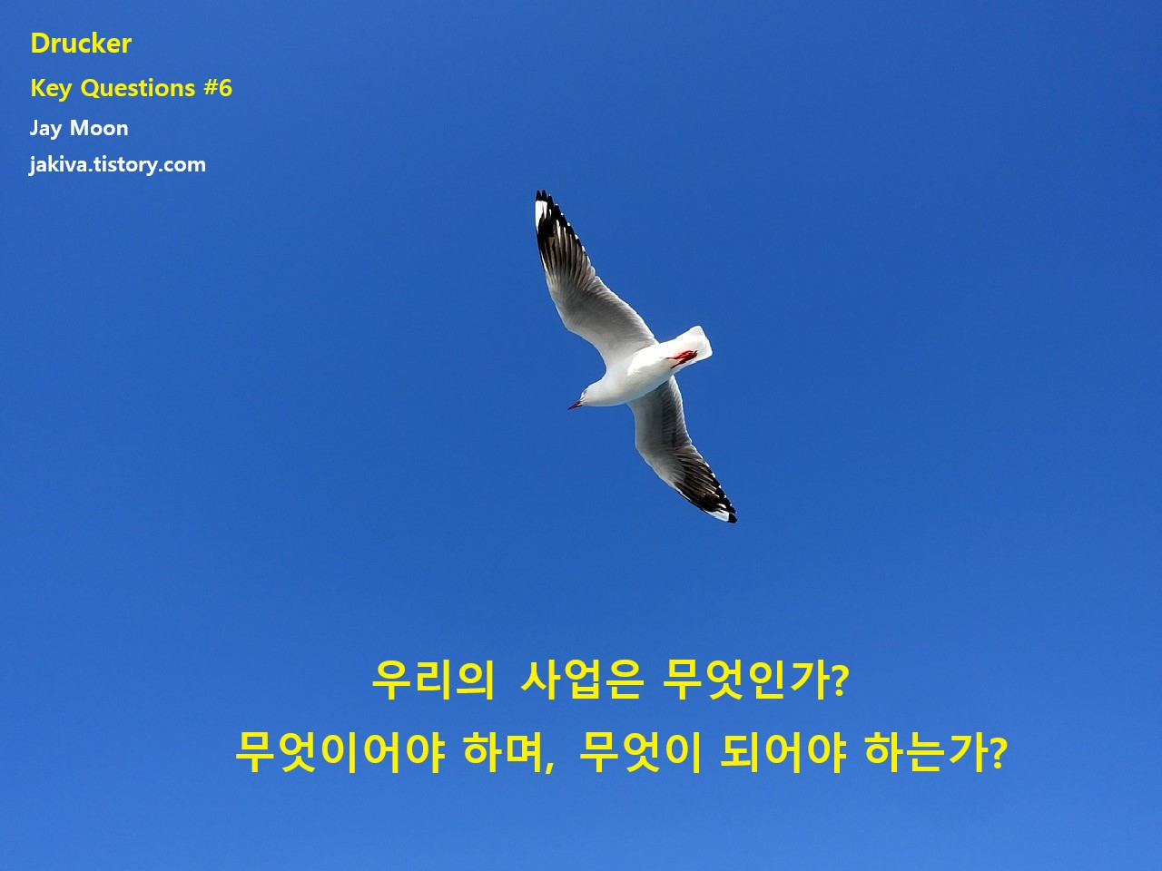 DRUCKER KEY QUESITONS 6F.jpg