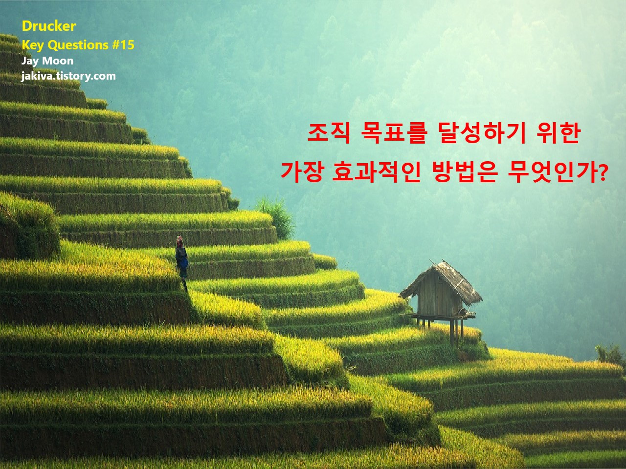 DRUCKER KEY QUESITONS 15.jpg