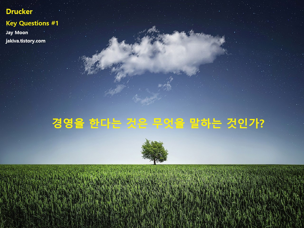 DRUCKER KEY QUESITONS 1F.jpg