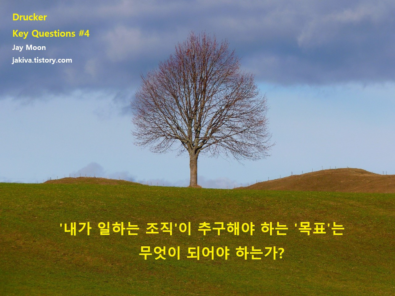 DRUCKER KEY QUESITONS 4F.jpg