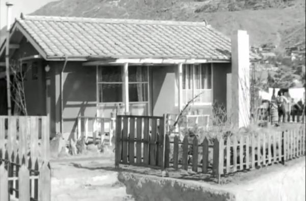 돼지꿈 2.jpg