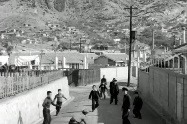 돼지꿈 1.jpg