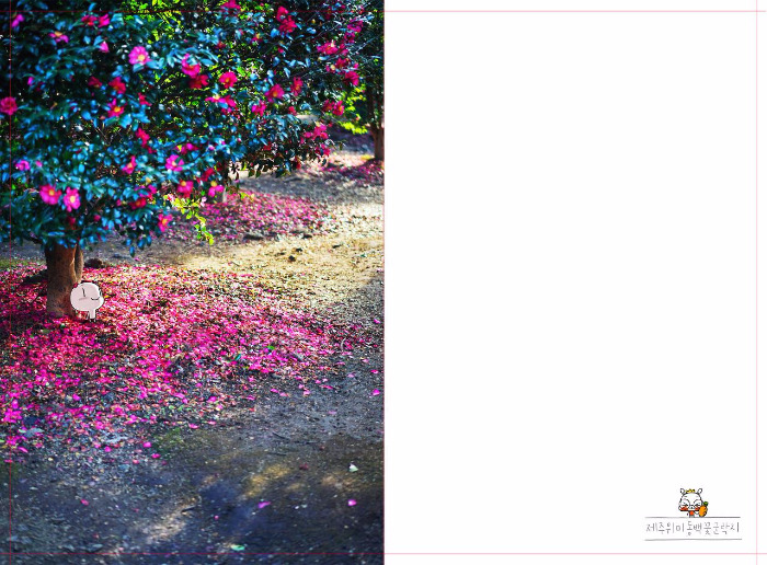 2018_사진양페이지_06.jpg