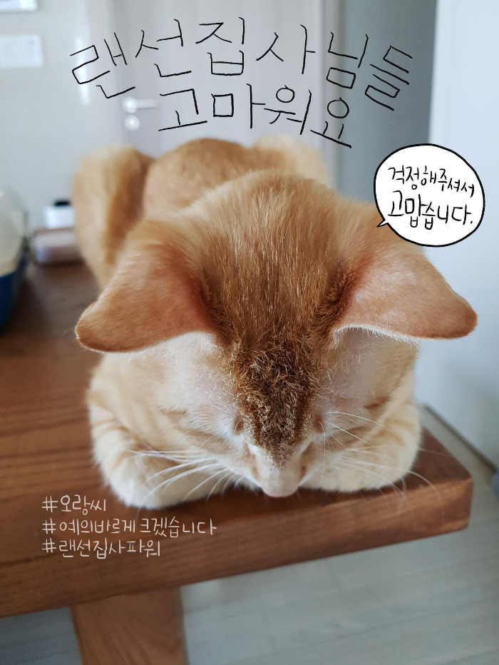 KakaoTalk_20180422_051158922.jpg