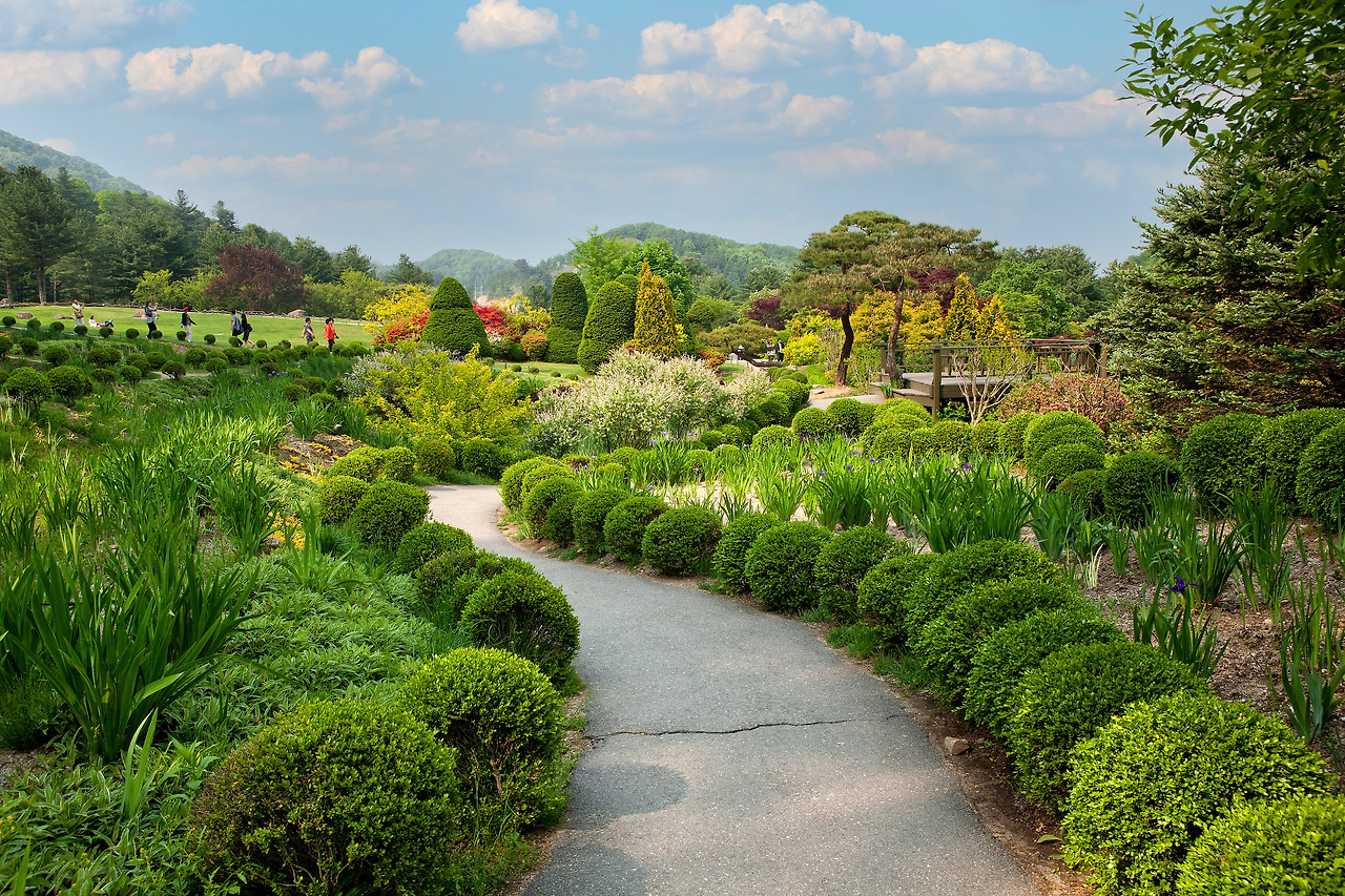 아침고요수목원이 가장 아름다운 5월의 풍경.jpg