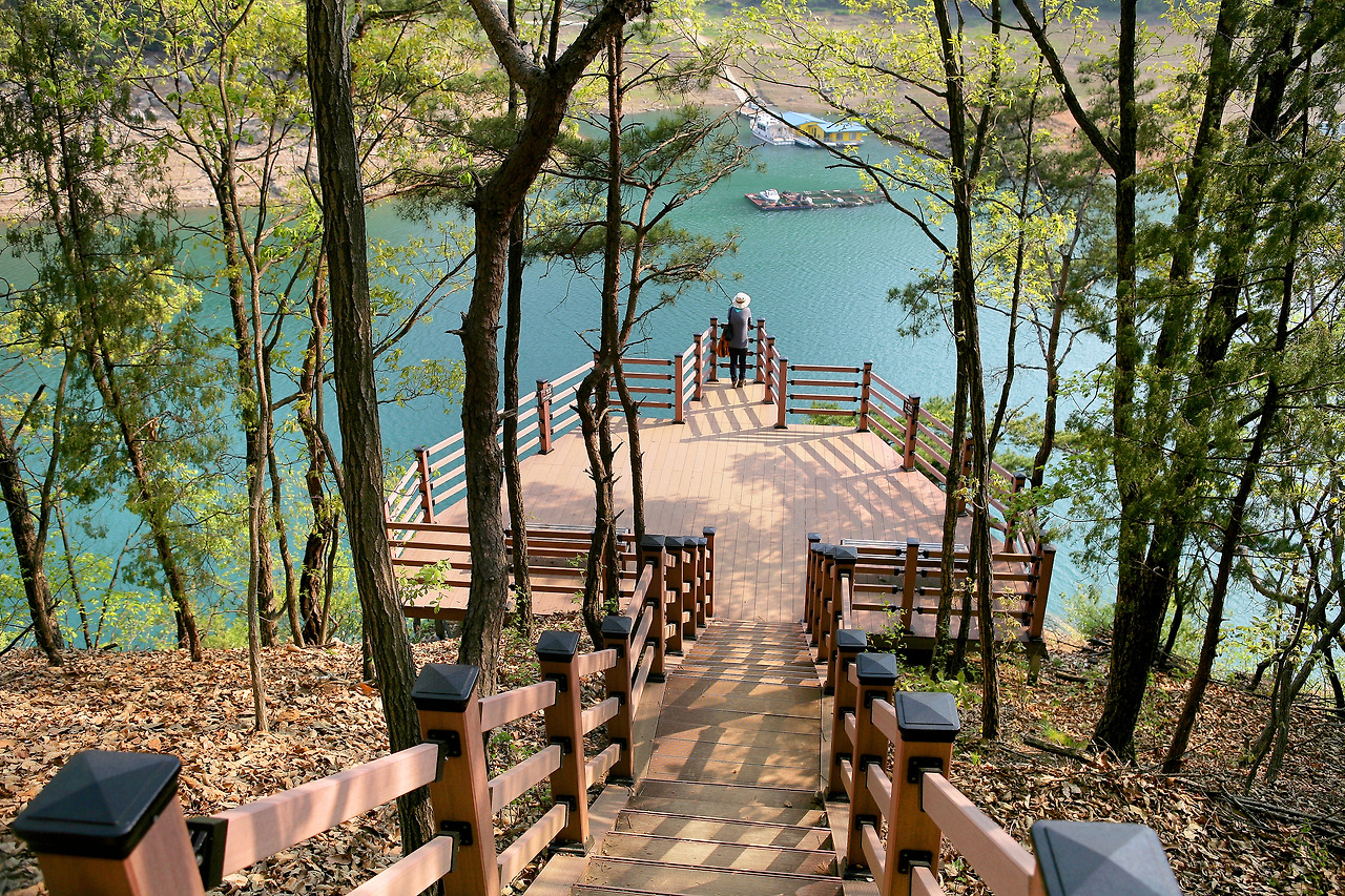 충주호가 한눈에 보이는 조망대.jpg