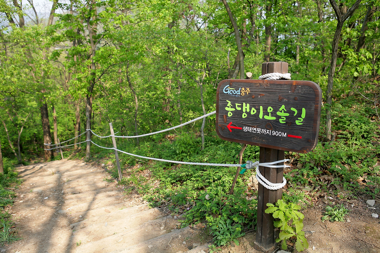 충주 트래킹의 1번지, 충주호 종댕이길.jpg