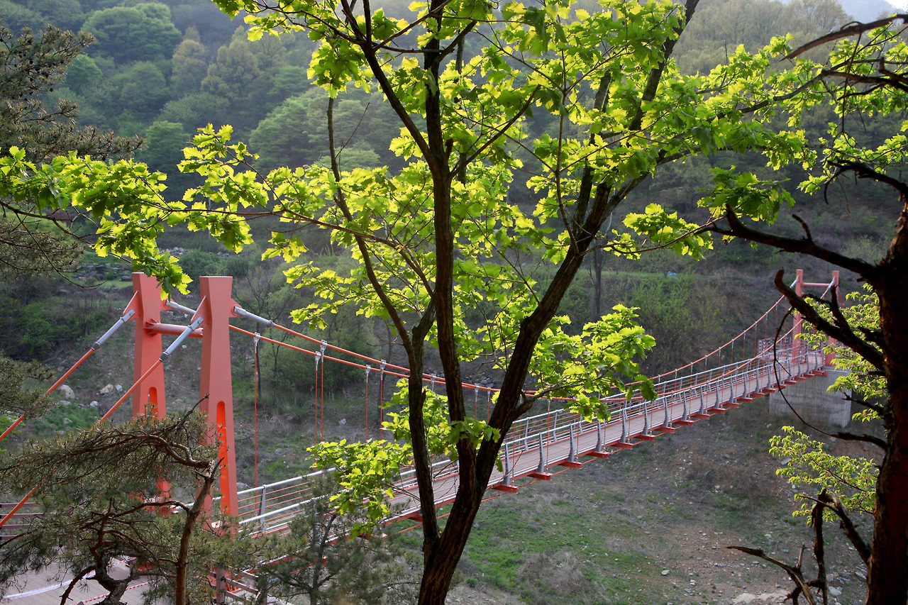 종댕이길의 소소한 즐거움, 출렁다리.jpg