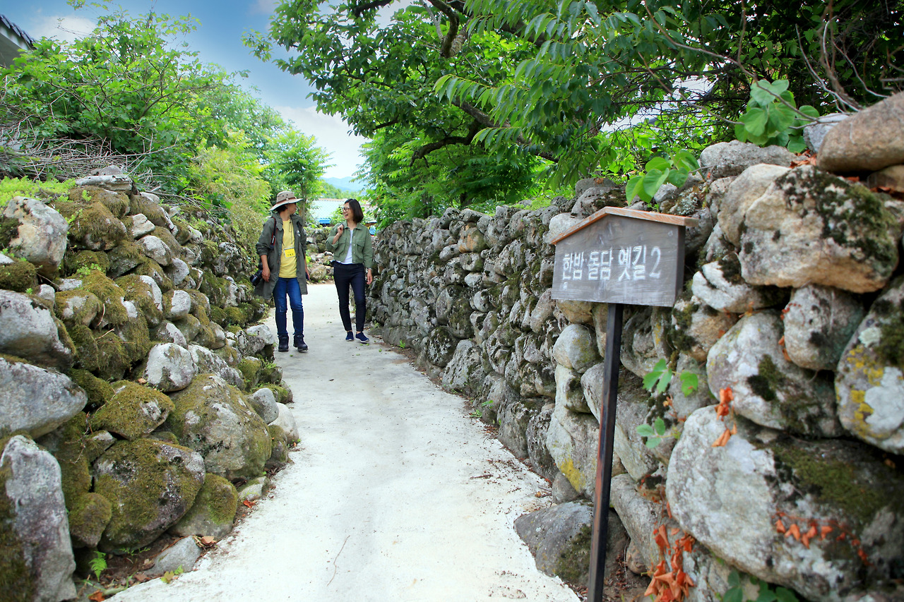 5. 대율리 한밤마을의 돌담길.jpg