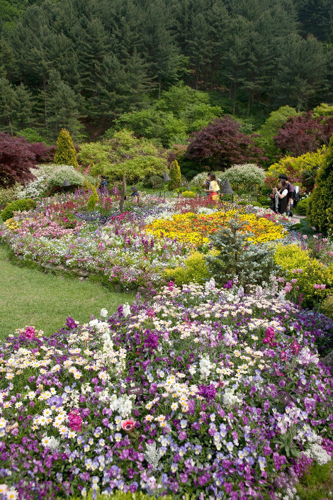 봄꽃축제 스프링 홀릭은 세상의 모든 꽃을 만나는 감동을 선사한다.jpg