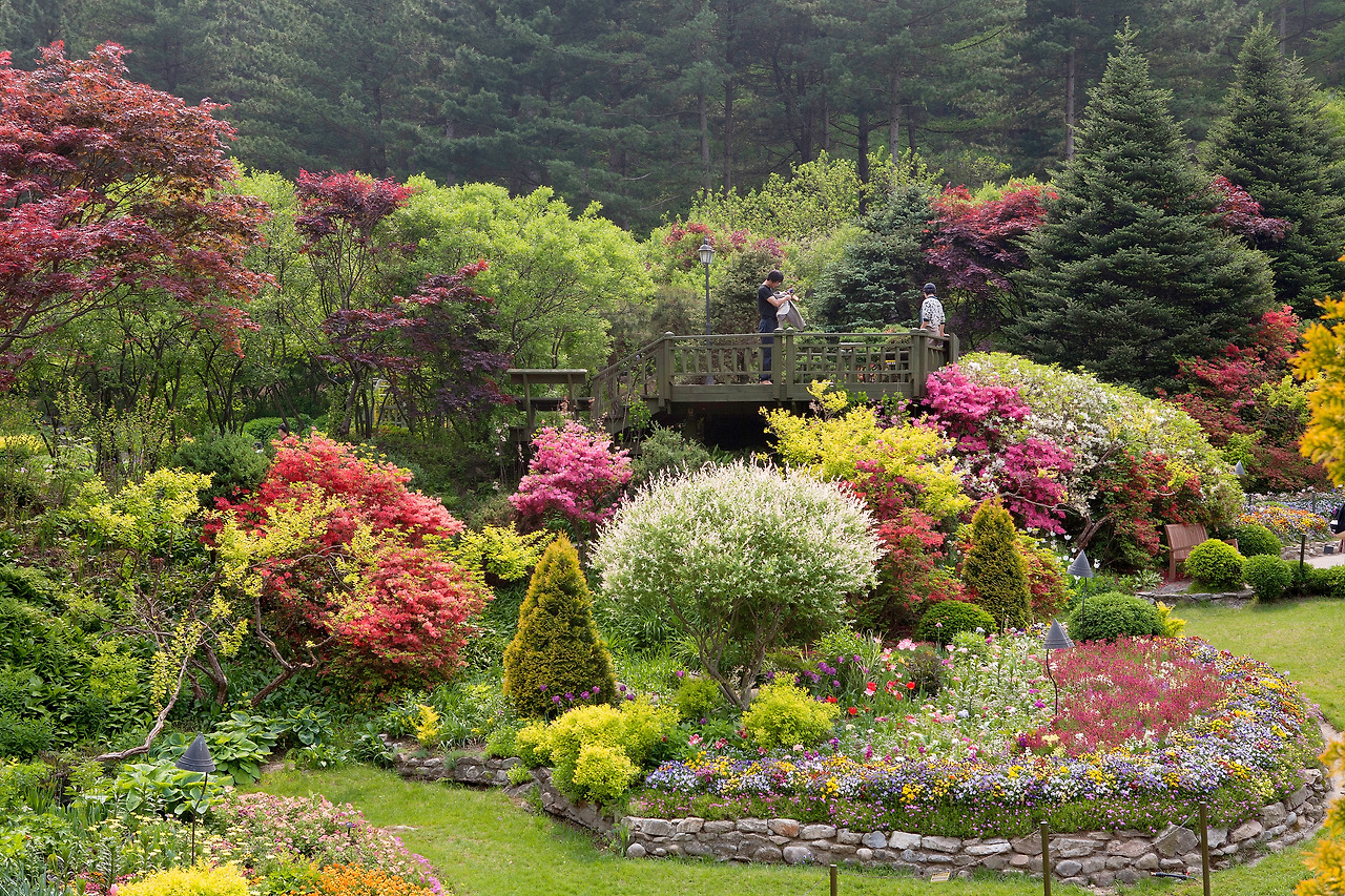 푸른 신록과 화사한 봄꽃으로 가득한 정원.jpg