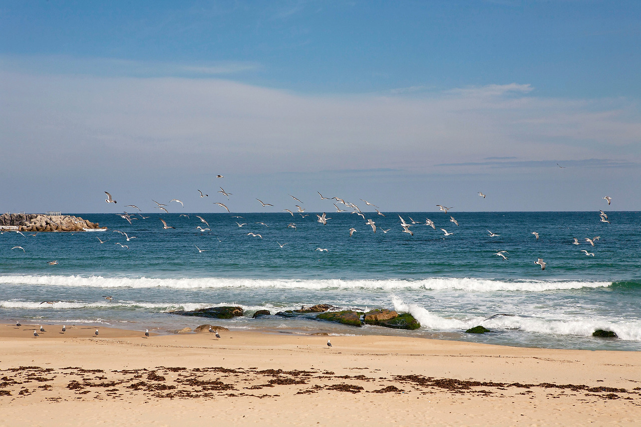 강원도의 3대 미항인 남애항.jpg