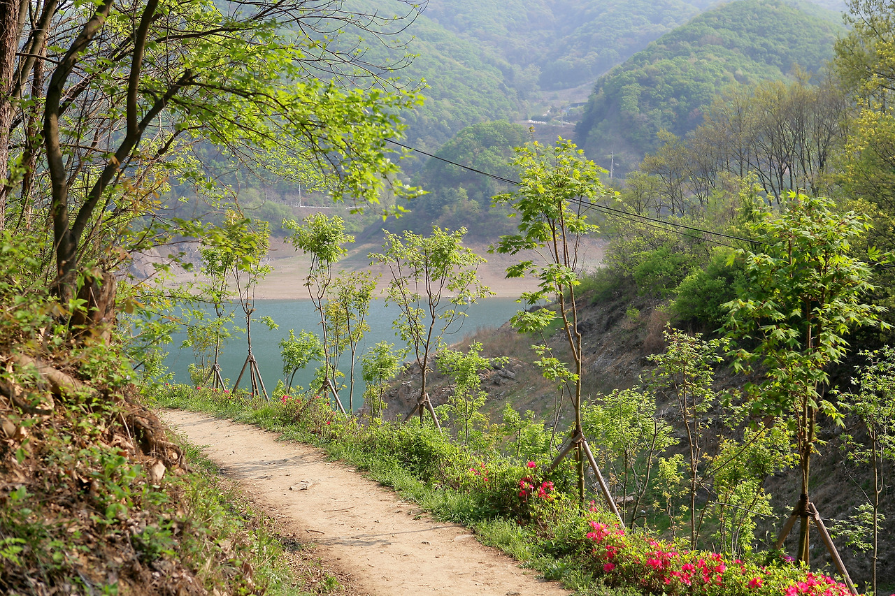 초록 숲과 옥빛 호수가 그림같은 종댕이길.jpg