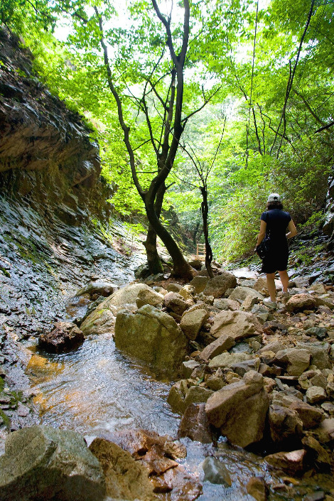 치유와 위안의 힐링 트레킹, 화암사 가는 길.jpg