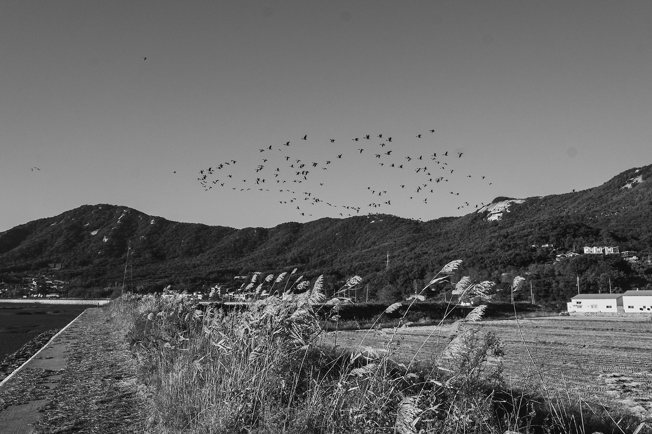 231022 강화도_4일차(가을).jpg