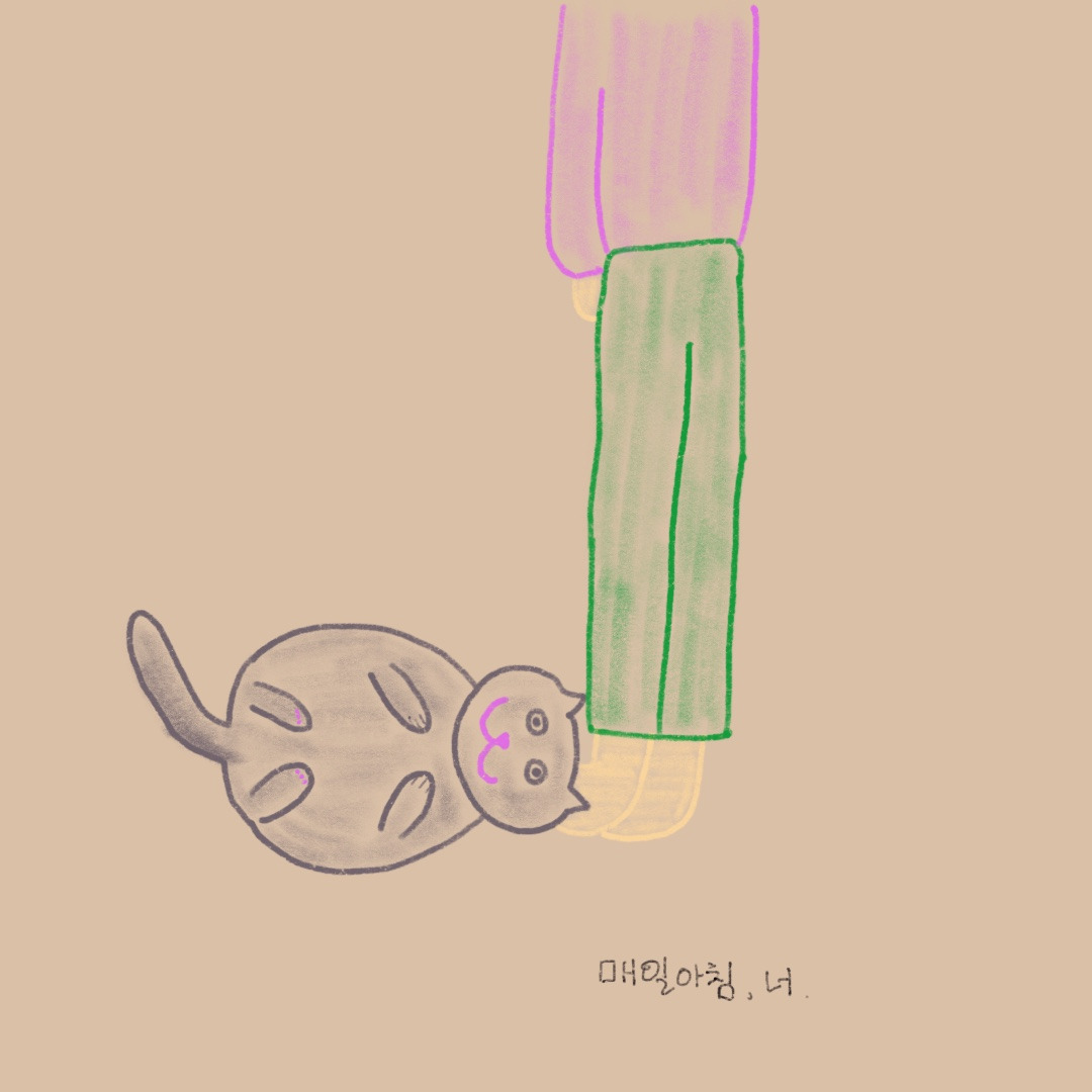 매일아침 너.jpg