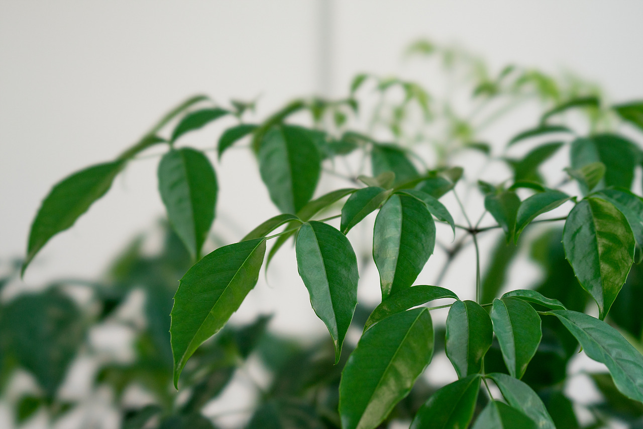 100mm 예제 (2).jpg