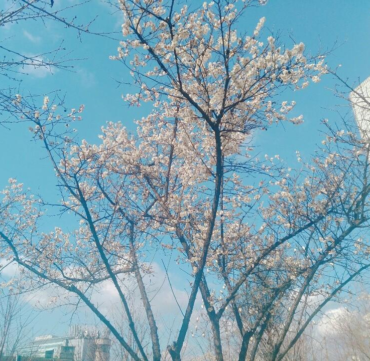 KakaoTalk_20190330_195743358.jpg